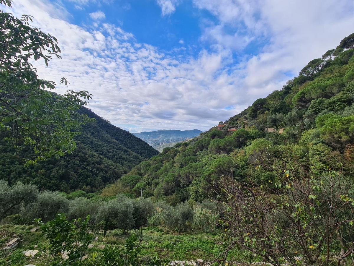 Castrusso Il Frantoio Di Rapallo By Portofinovacanze Exteriér fotografie