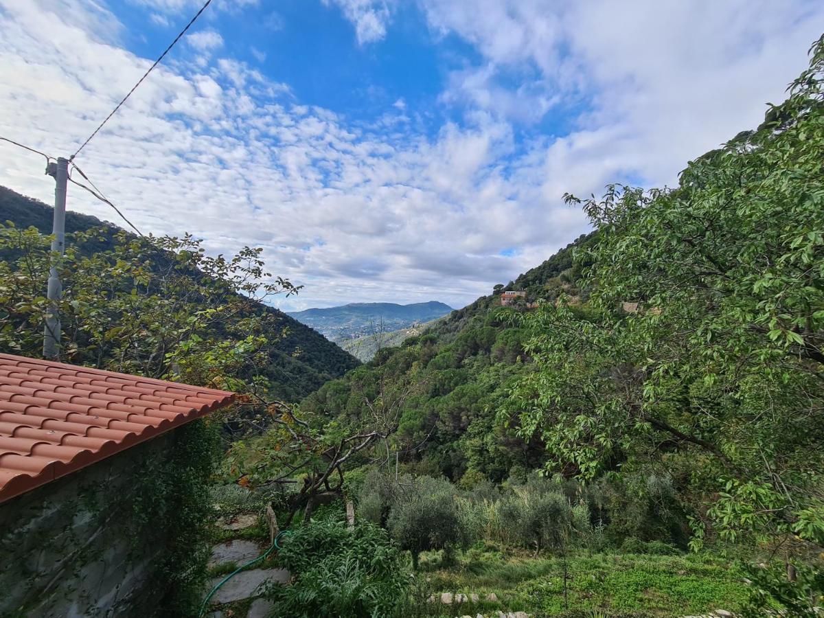 Castrusso Il Frantoio Di Rapallo By Portofinovacanze Exteriér fotografie