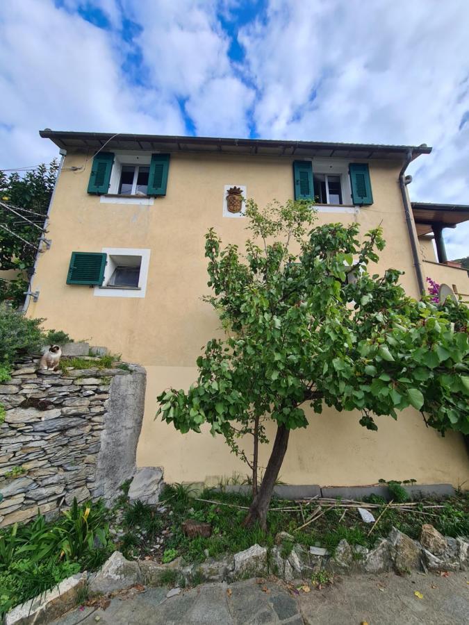 Castrusso Il Frantoio Di Rapallo By Portofinovacanze Exteriér fotografie