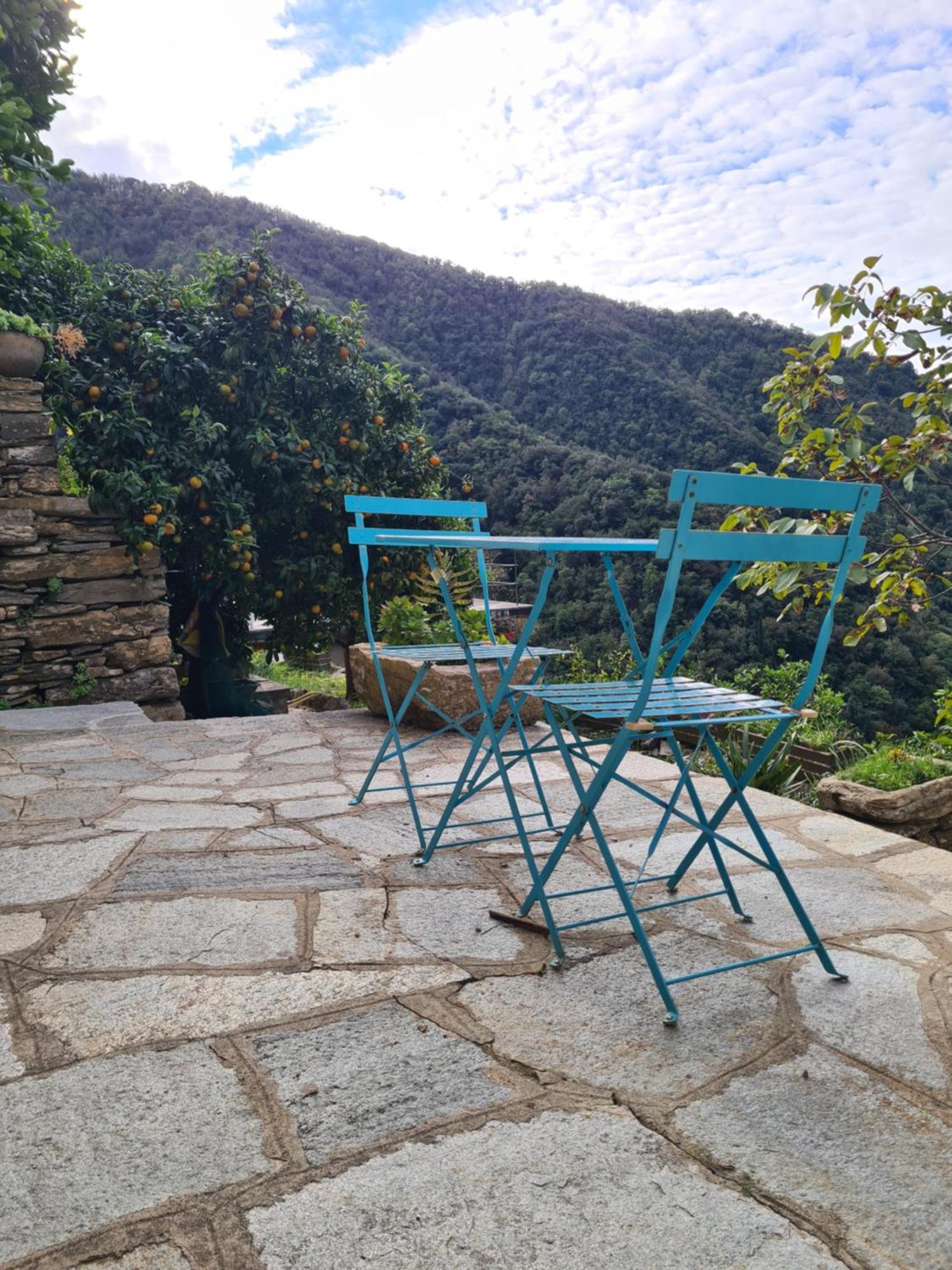 Castrusso Il Frantoio Di Rapallo By Portofinovacanze Exteriér fotografie